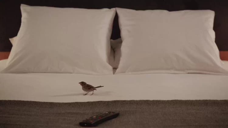 Bird People Poster