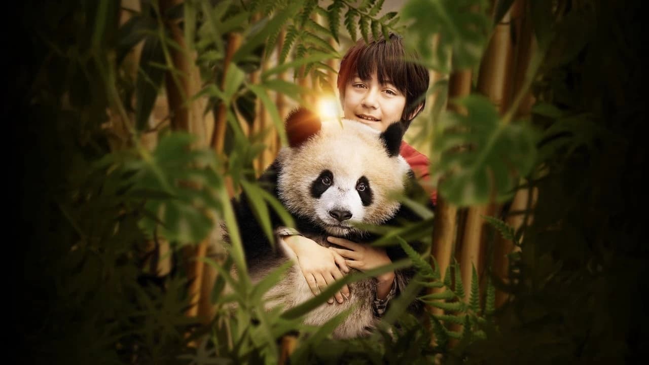 Moon the Panda Backdrop