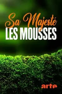 Sa Majesté les mousses