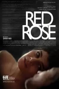 Red Rose